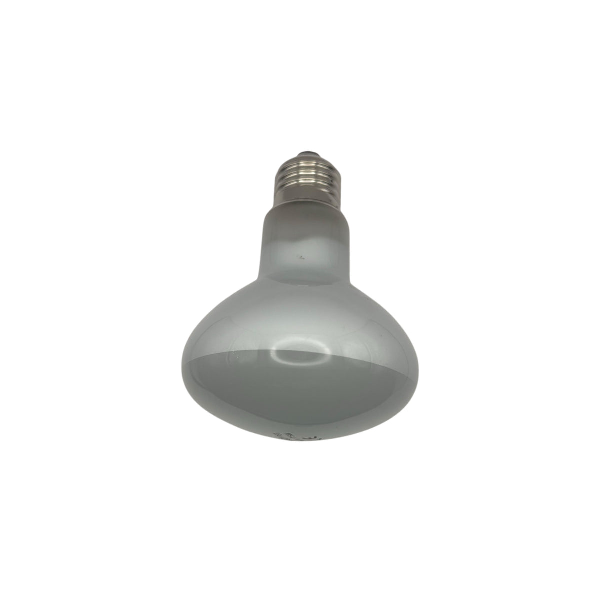 Daytime Basking Lamp (Frosted)