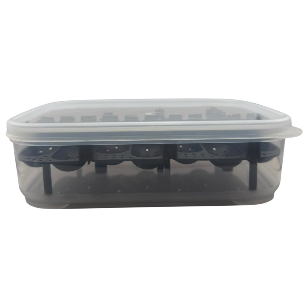 Reptile Egg Incubation Box