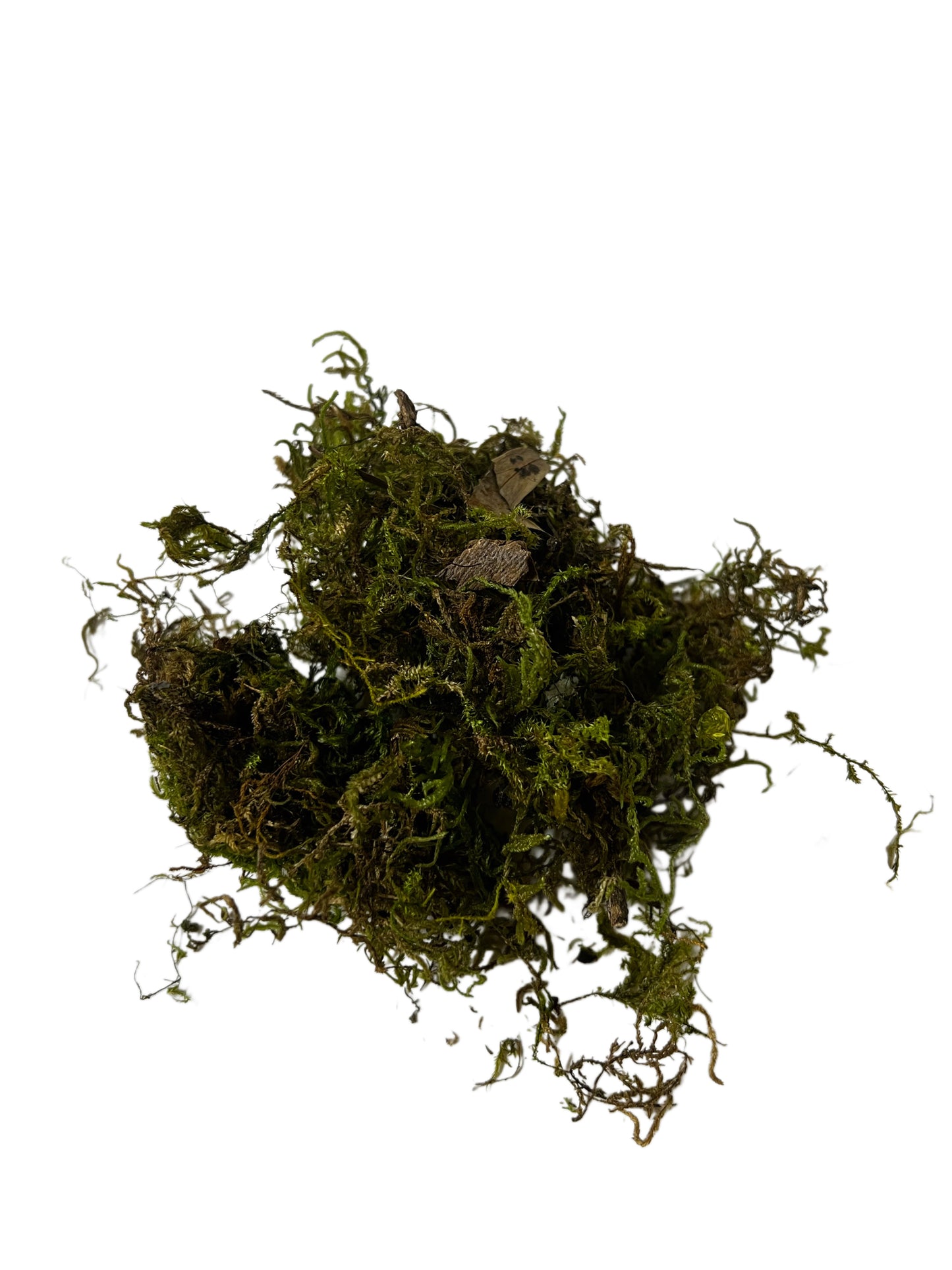 Sphagnum moss