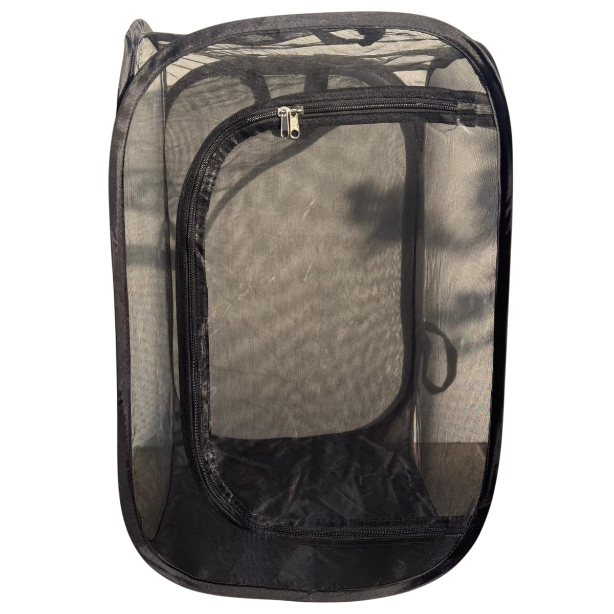 Portable Insect Habitat