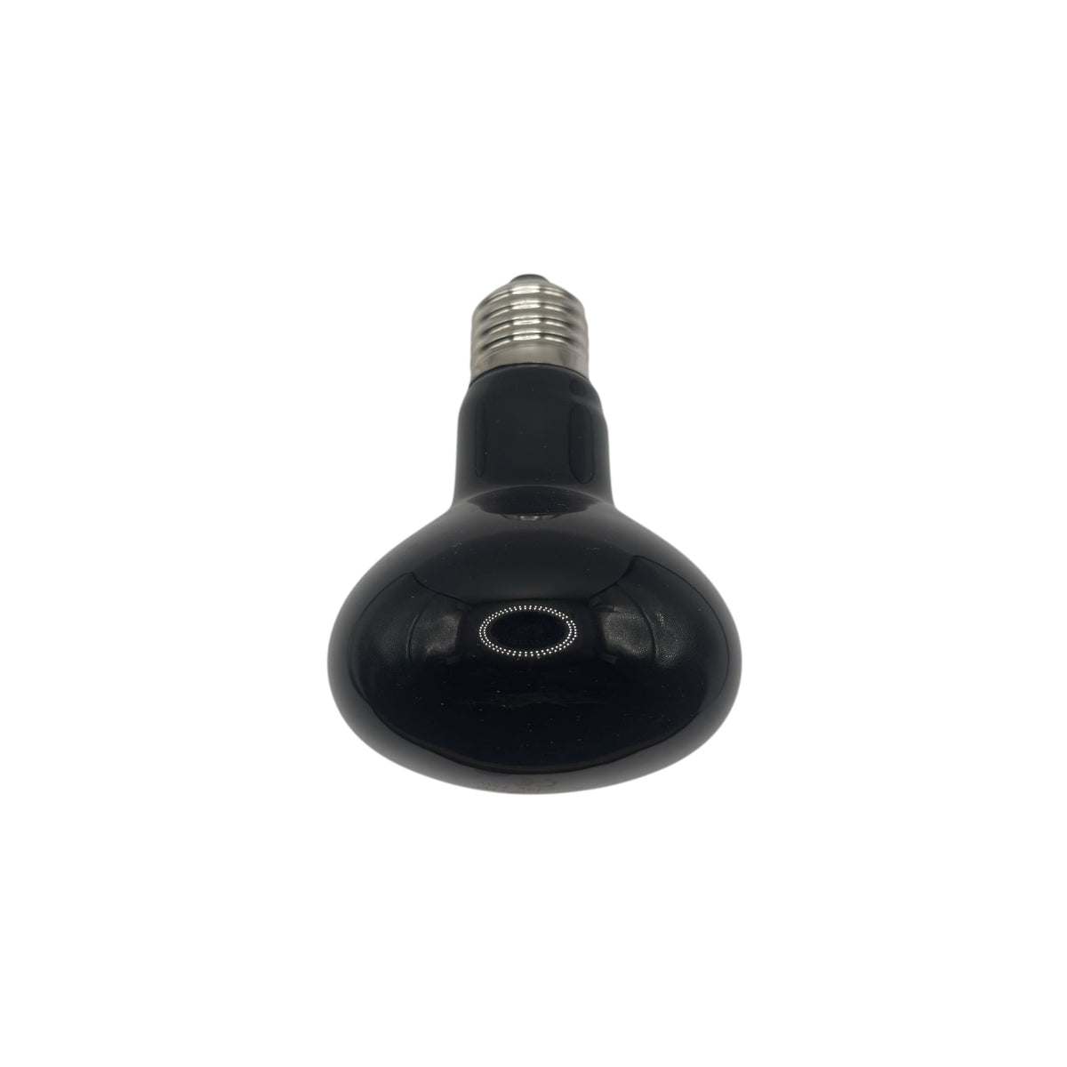Halogen Night Lamp (Moonlight)
