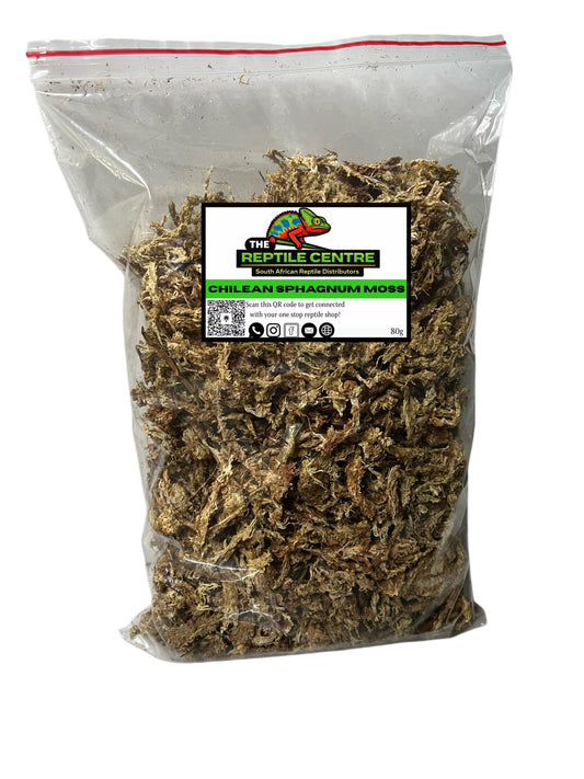 Chilean sphagnum moss
